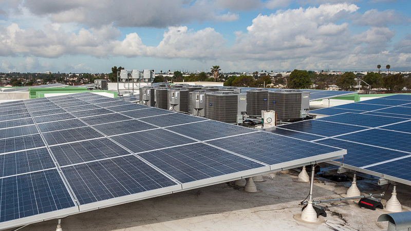 Arbor Green Arbor Green