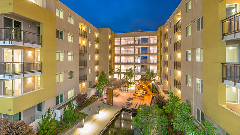 Withee Malcolm Fusion 11 Withee Malcolm Fusion 11