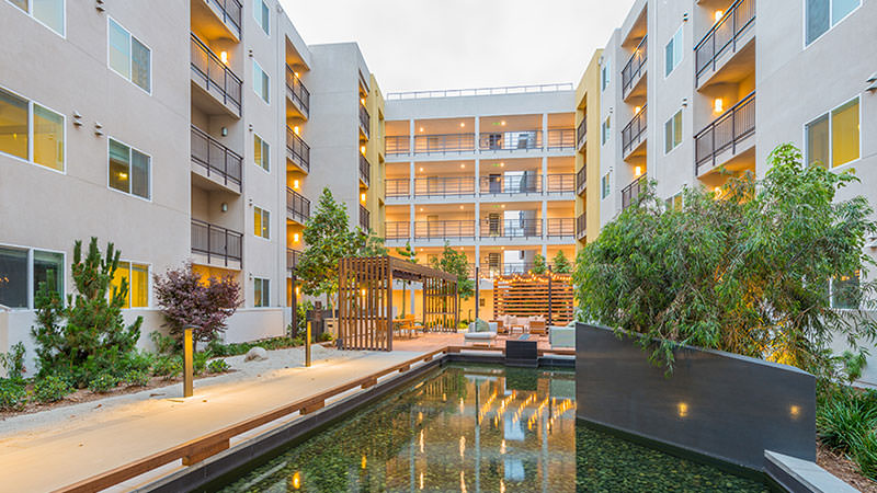 Withee Malcolm Fusion 2