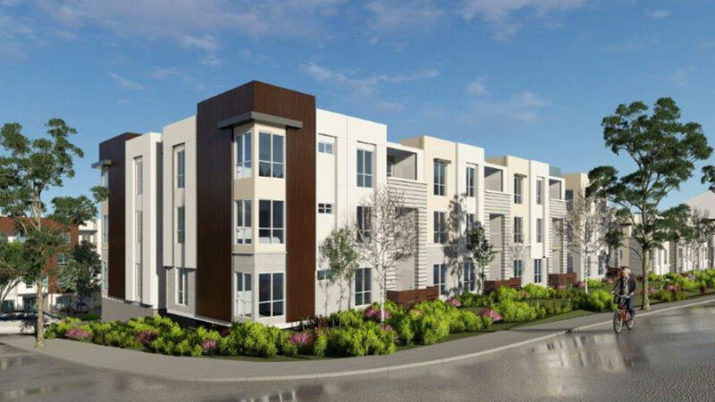 Withee Malcolm Rose Hill Courts 5 Withee Malcolm Rose Hill Courts 5